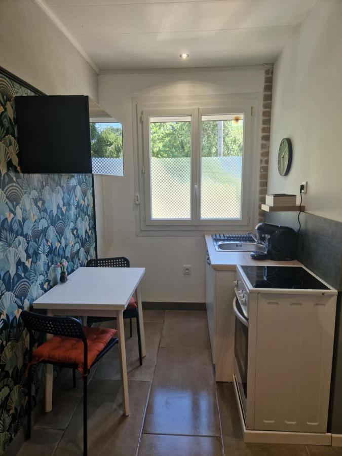 Appartement Independant Dans Maison Avec Jardinet, Au Calme Serezin-du-Rhone ภายนอก รูปภาพ